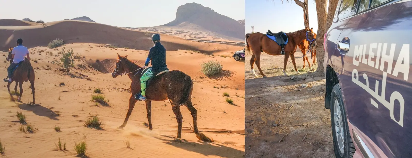 25109_upload65142fa35514f_1695821731-0-en1695821739.jpg-Ave4kJ