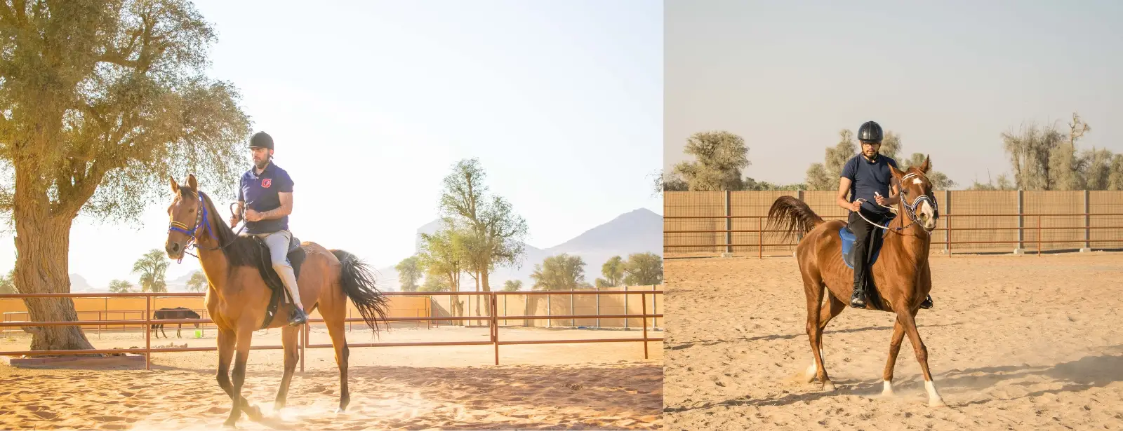 25118_upload651445eed4686_1695827438-0-en1695827447.jpg-AVsJrQ